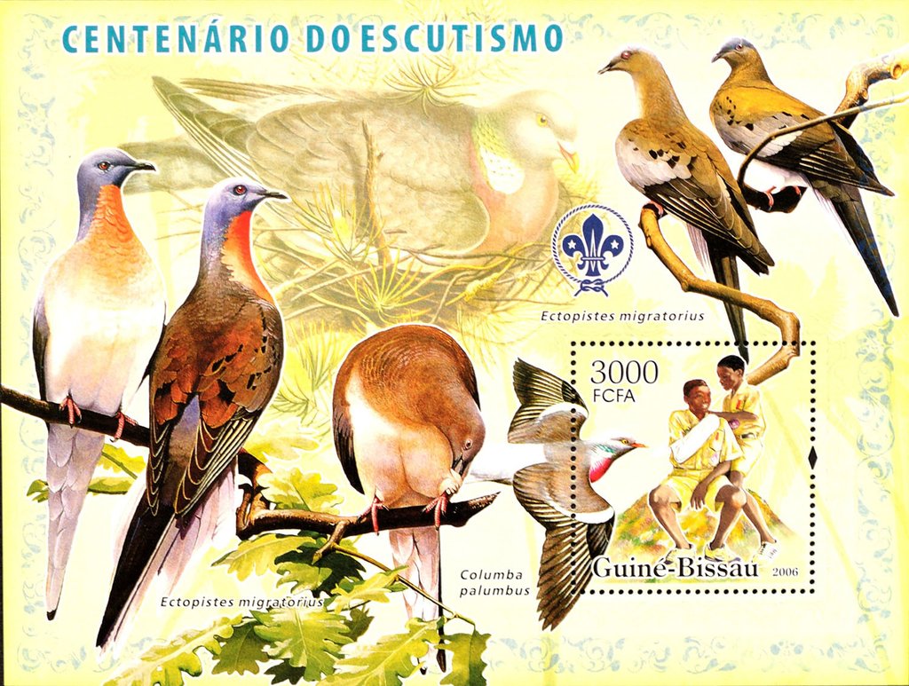 Scout on the Pile of Earth and Common Wood Pigeon (Columba p