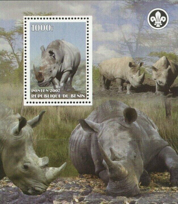 Rhinoceroses