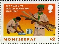 Scout Gathering Firewood