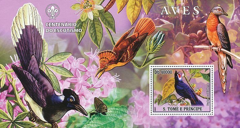 Diademed Tanager Stephanophorus diadematus