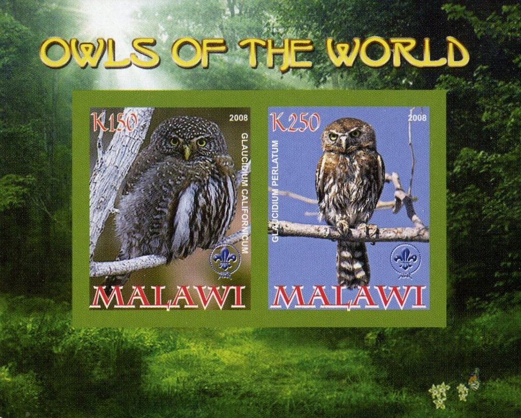 Owls of the World