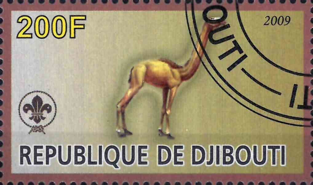 Camel