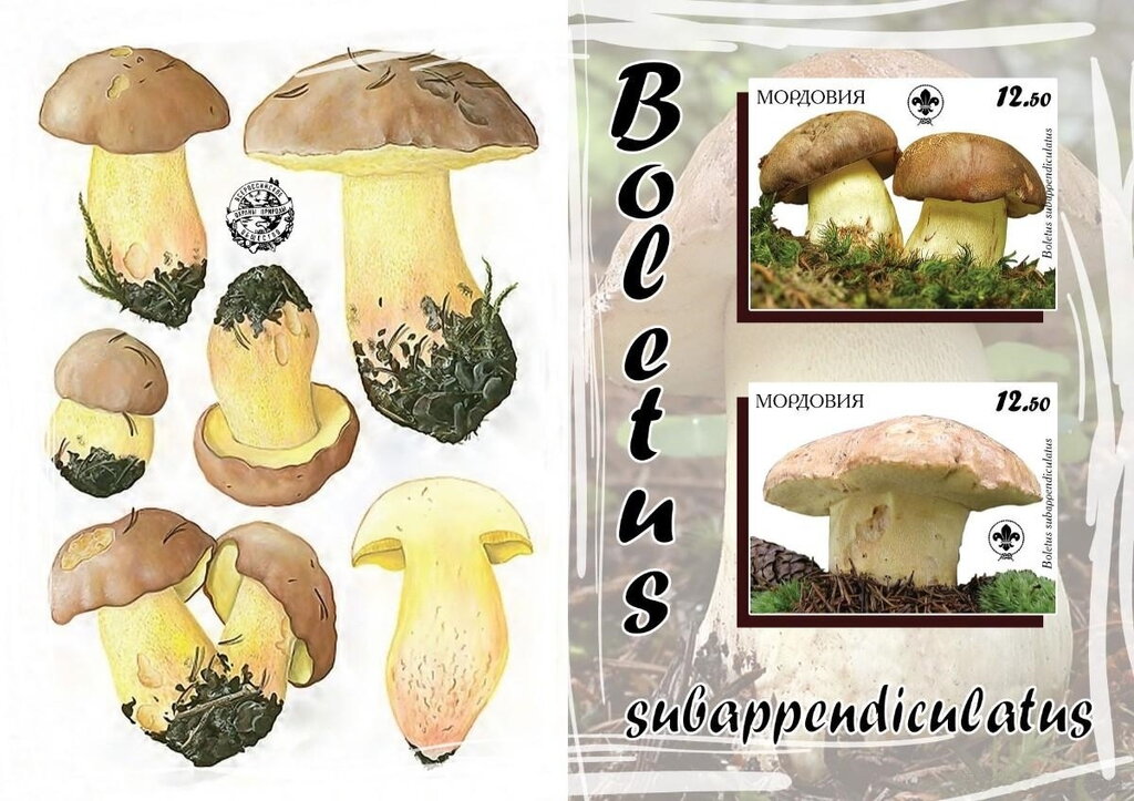 Mushrooms