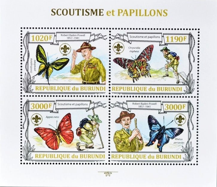 Scouts and Butterflies
