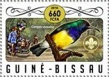 Variable Sunbird (Cinnyris venustus)