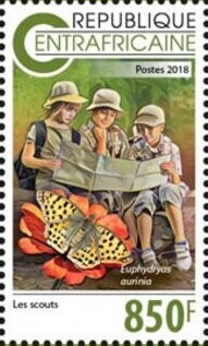 The Scouts