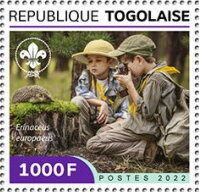 Scouts