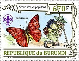 Scouting and butterflies, Appias nero